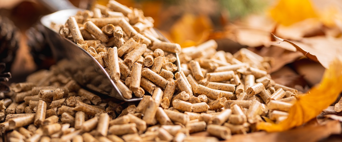 Calefactores de biomasa: ecología y energía