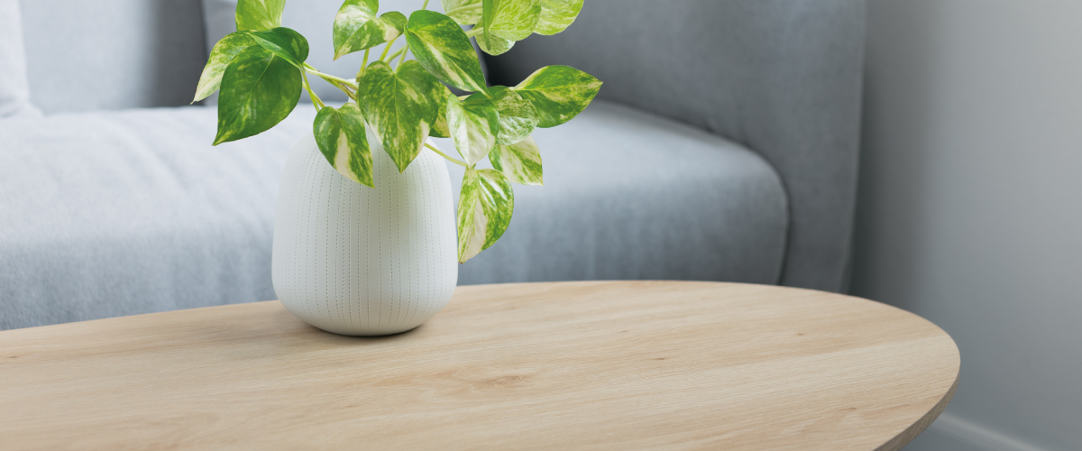 Escoge la mesa de salón perfecta para tu hogar