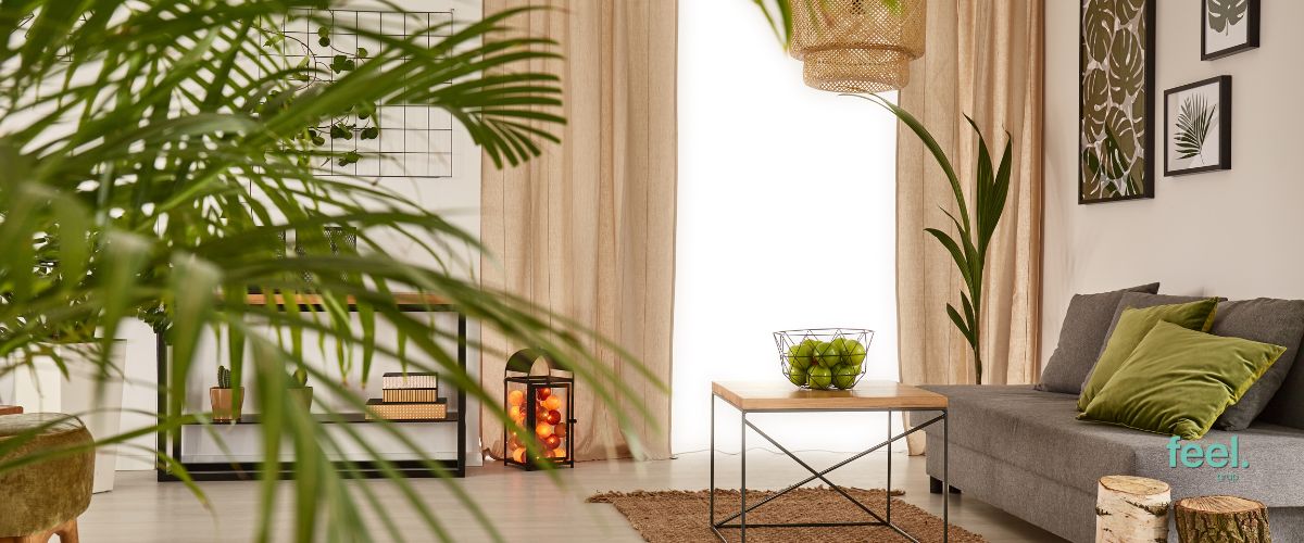 Decora tu hogar con plantas: Hogar fresco y acogedor todo el año